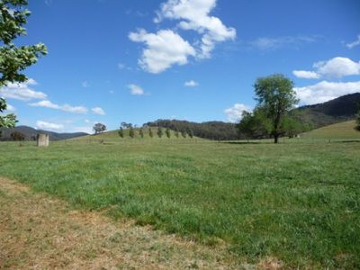188A Blind Creek Road, Tallandoon