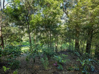 6 Strawberry Close, Woolgoolga