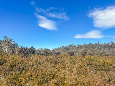 331L Arthurs Lake Road, Arthurs Lake