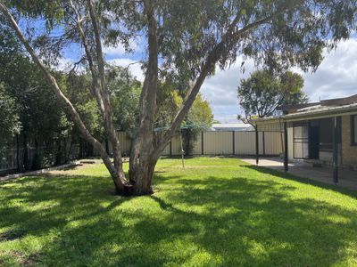 4 Carol Court, Newcomb