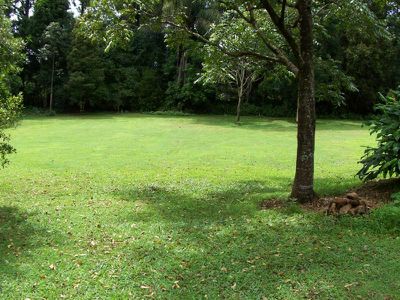 Maleny