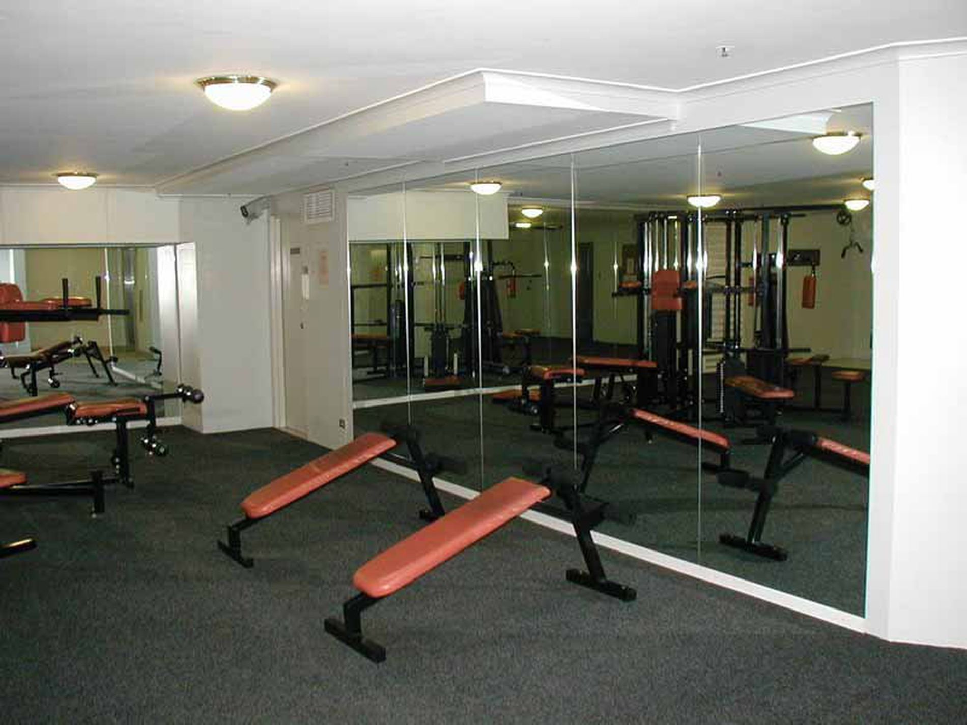 178 / 398-408 Pitt Street, Sydney