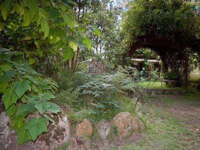 755 Gap Road, Riddells Creek