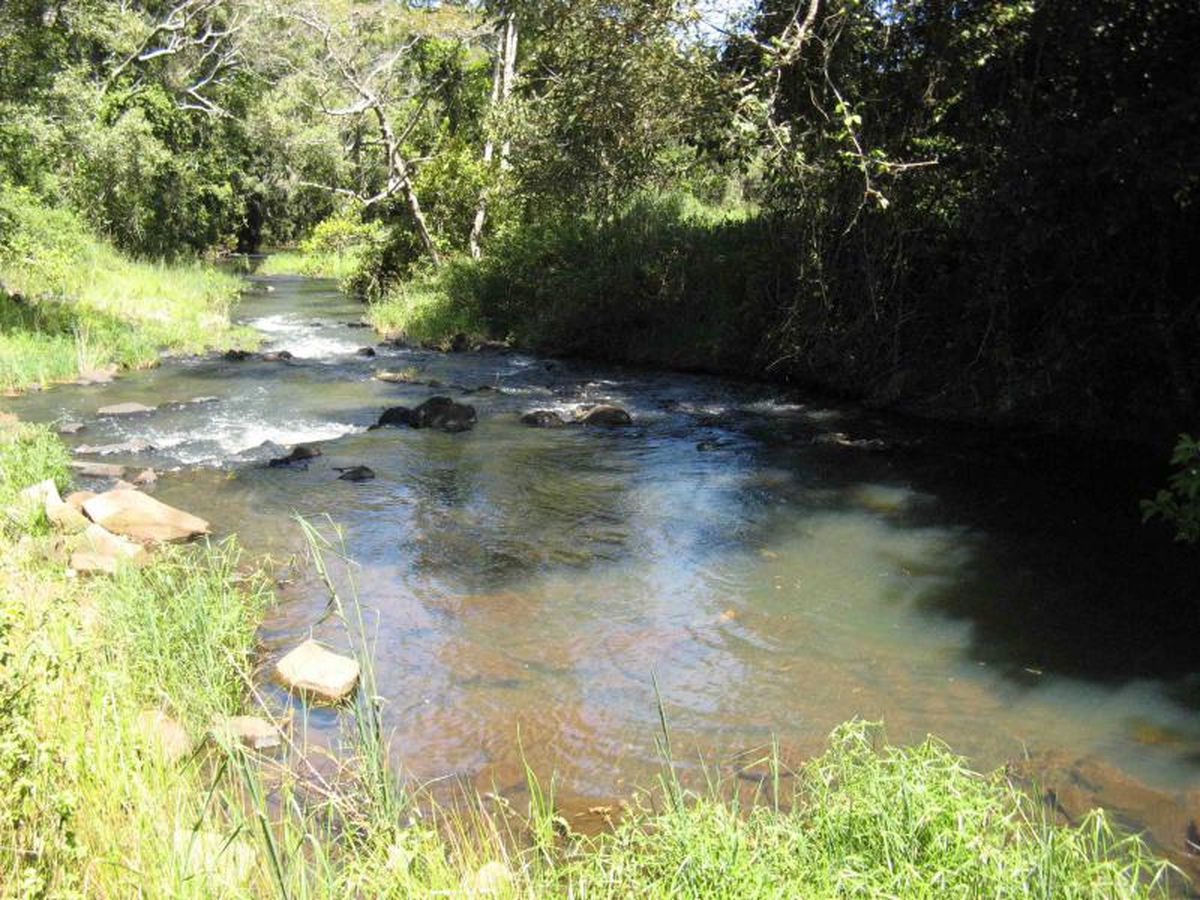 Malanda