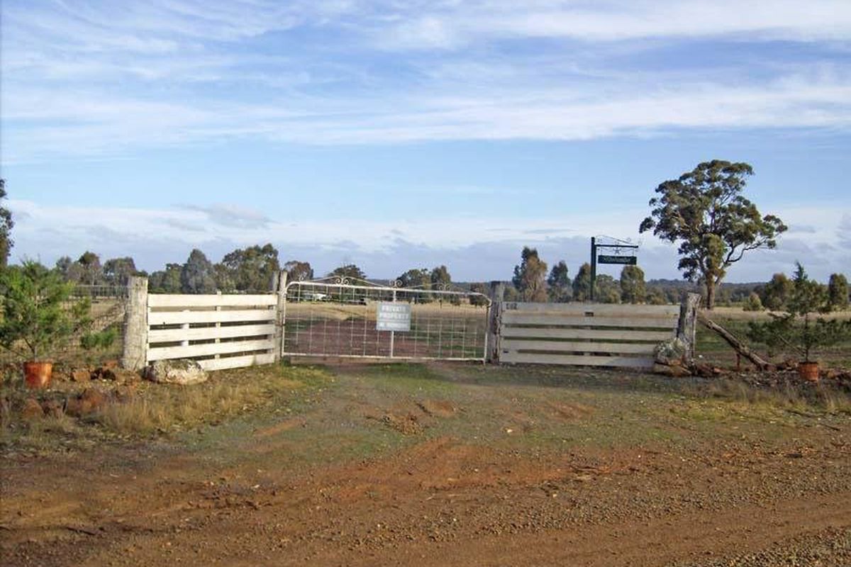 485 Wet Road, Murchison