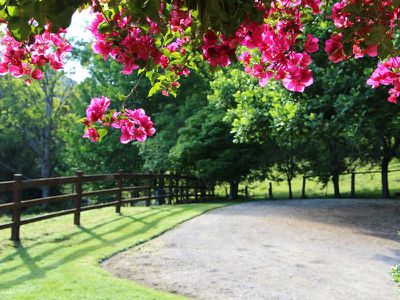 50C Keoghs Road, Kangaroo Valley