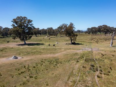 377 Laceby-Targoora Road, Laceby