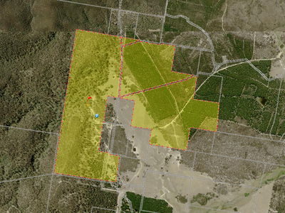 464 Tally Ho, Braidwood