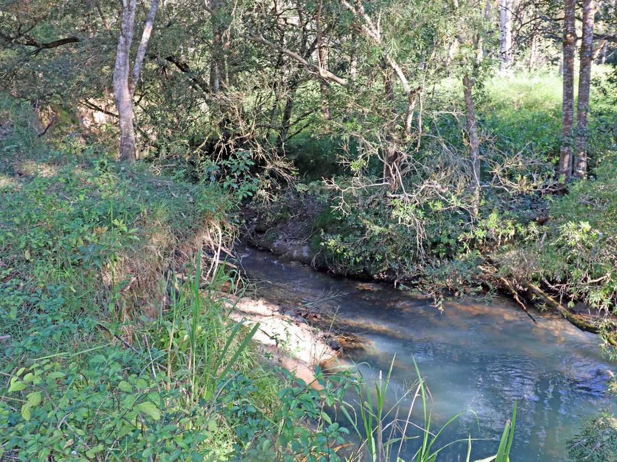 Atherton