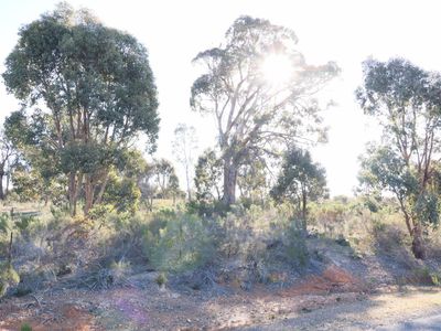 58 Hall Road, Heathcote