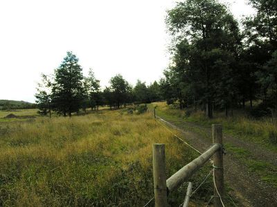 75 Hankin & Robertson Road, Geeveston