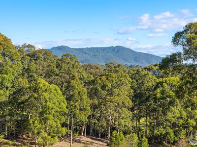 28 Old South Coast Road, Narooma