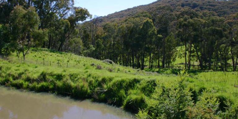 Harrys Creek Road, Strathbogie
