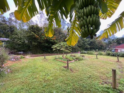 109 Gungas Road, Nimbin