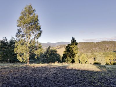 215 Sandhill Road, Cygnet