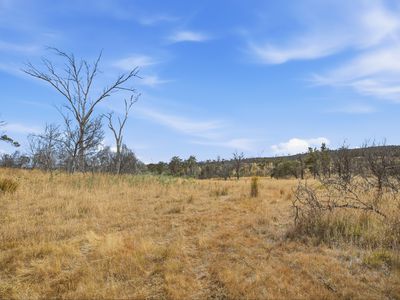 75 Prossers Forest Road, Ravenswood