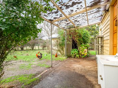 382 Crabtree Road, Crabtree
