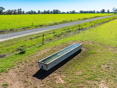'Pastoria Park' 205 Balldale Road, Hopefield