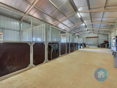 61 Forest Lane, Markwood