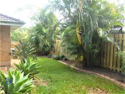 8 Patella Street, Mansfield