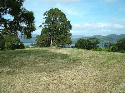 124 Dillons Hill Road, Cygnet