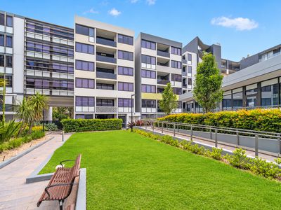 501 / 40 Mcevoy Street , Waterloo