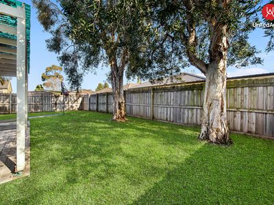 36 Todd Court, Wattle Grove