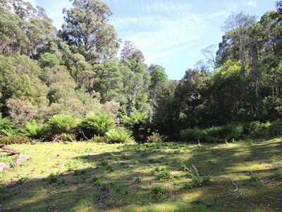 Lot 19 Waggs Gully Road, Ranelagh