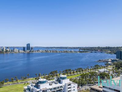 2304 / 237 Adelaide Terrace, Perth