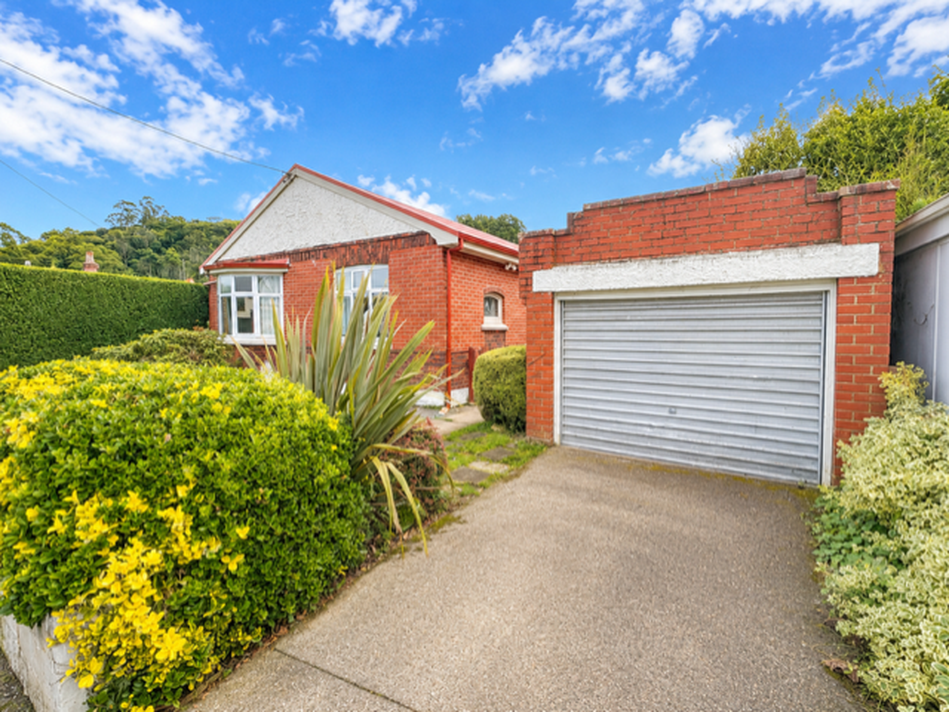 23 Paris Street, North East Valley