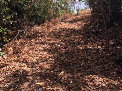 13 Buhmann Street, Cooktown