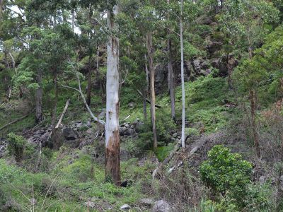 L179 Kilcoy Lane, Conondale