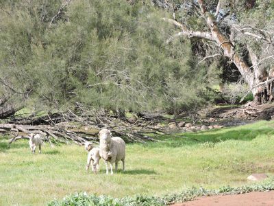 606 Telegraph Road, Toodyay