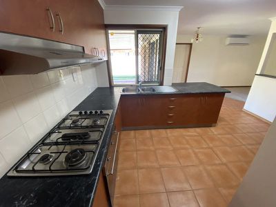121 Ibis Boulevard, Eli Waters