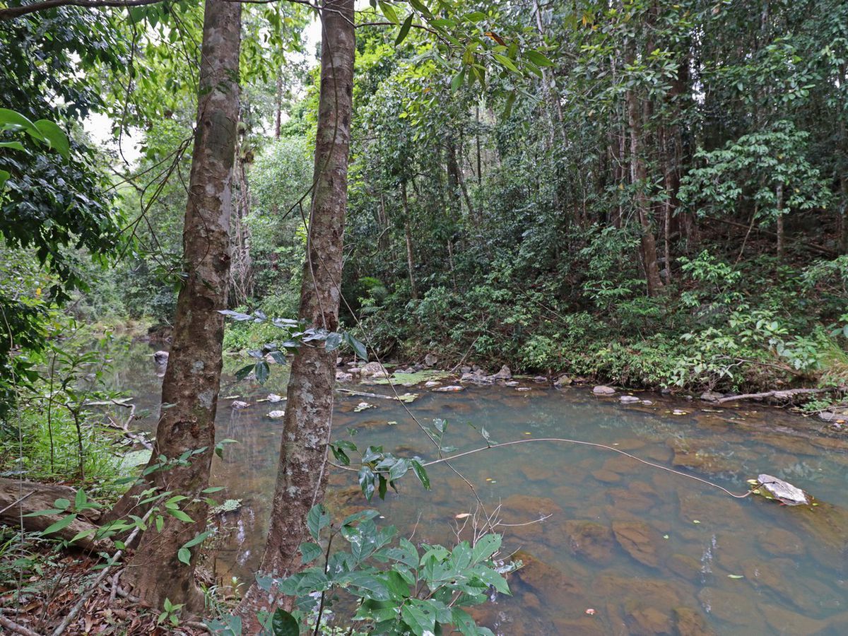 Danbulla