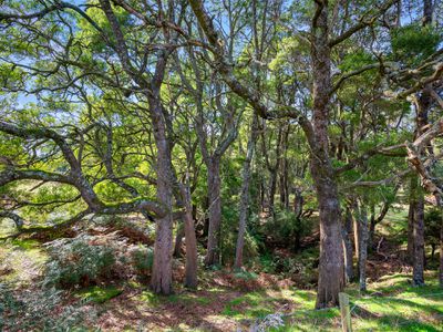 34 Elphinstones Road, Calder