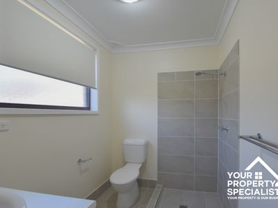 16 Griffiths Avenue, Camden South