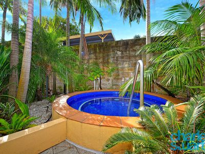 19 / 228 Moore Park Road, Paddington