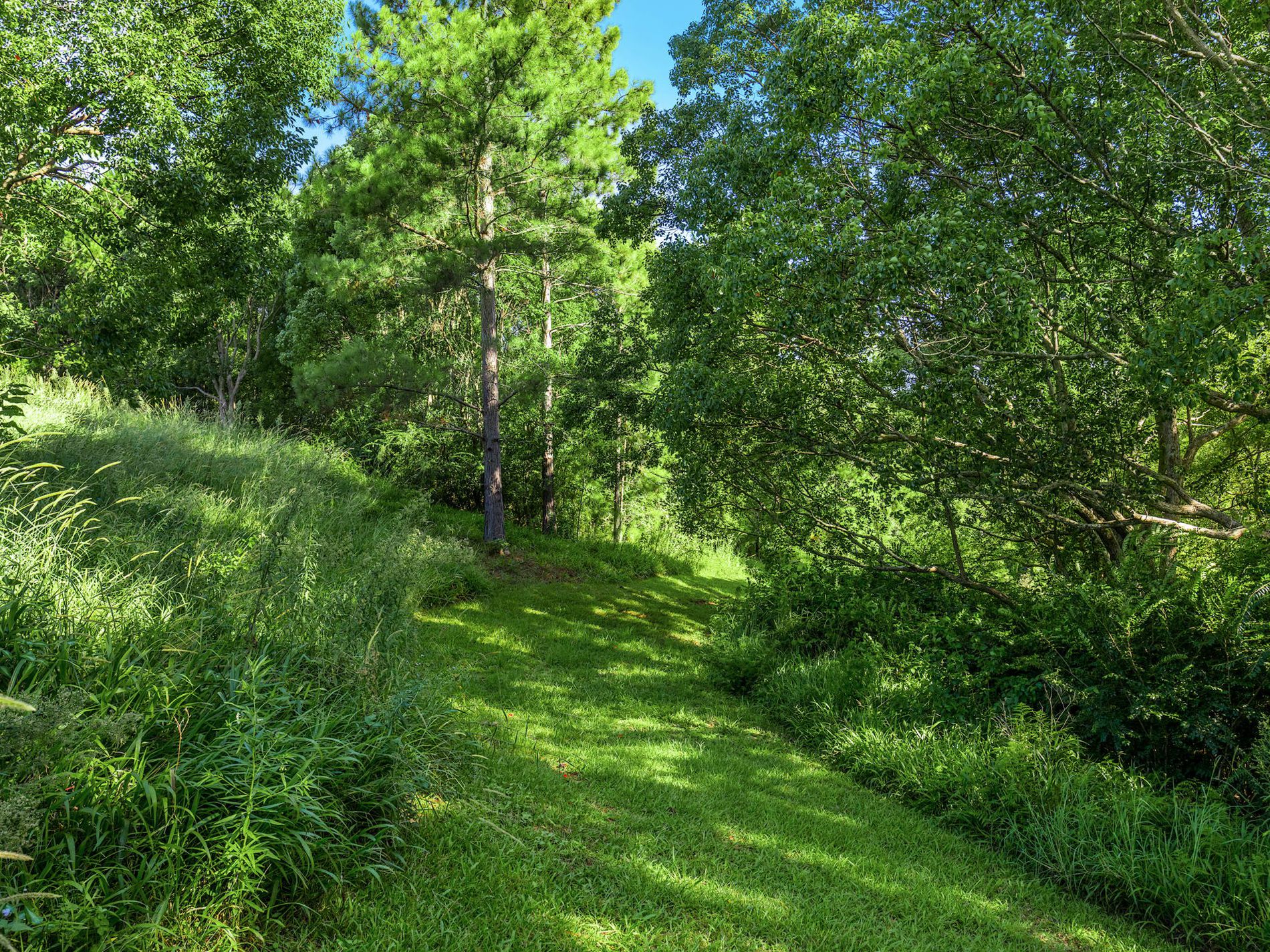 111 FOWLERS LANE, Bangalow