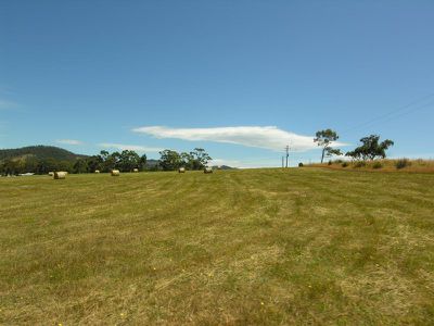 Walters Road, Wattle Grove
