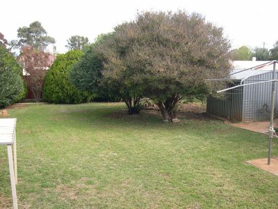 17 Brigalow Avenue, Dubbo