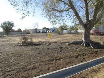 159 Wren Street, Longreach
