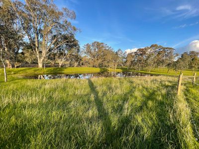 54 Thomas Lane, Heathcote