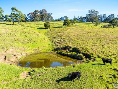 233 WAGONGA SCENIC DRIVE, Narooma