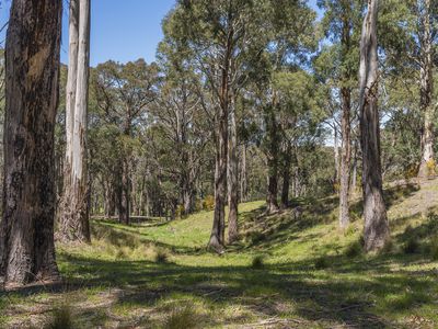 Lot 6, Zig Zag Road, Mount Macedon