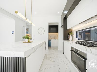 10 Caperbush Street, Marsden Park