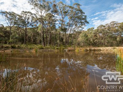 106 Warra Forest Road, Mount Mitchell
