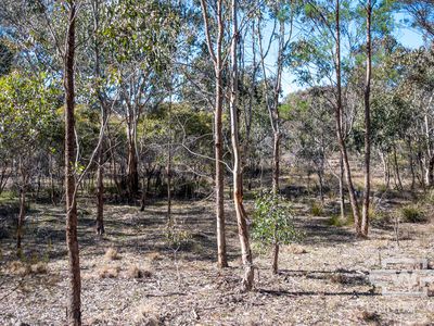 Lot 1, 222 Strathbogie Road, Emmaville