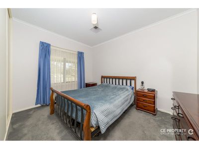 537 Cookes Hill Road, Springton