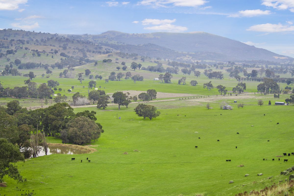 Sheans Creek Road, Euroa